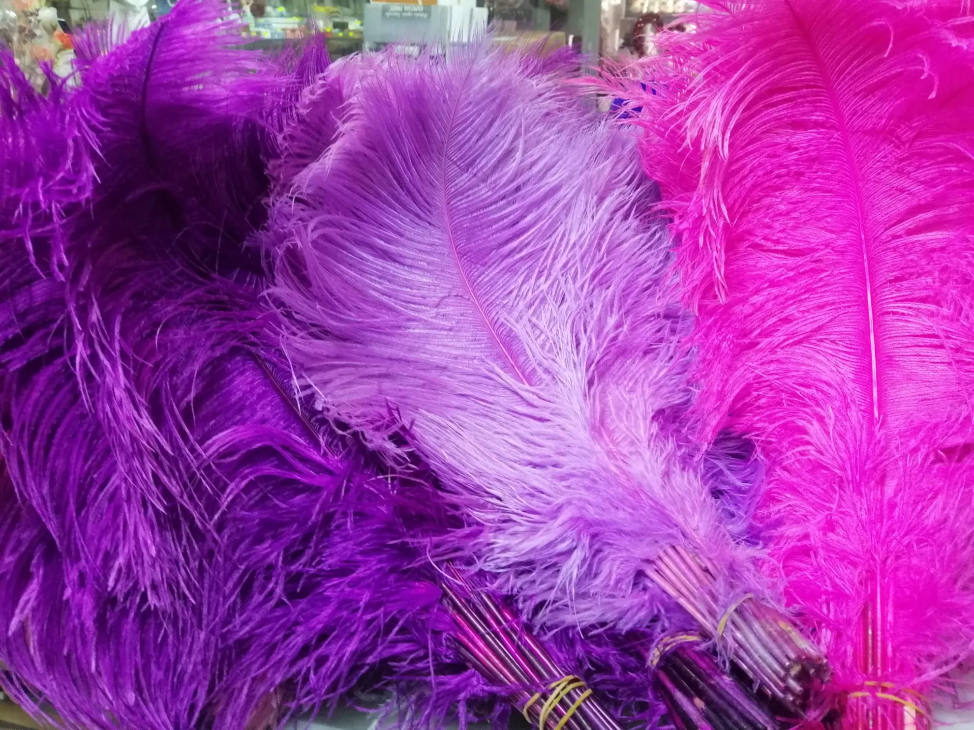 Disfraz accesorios 10