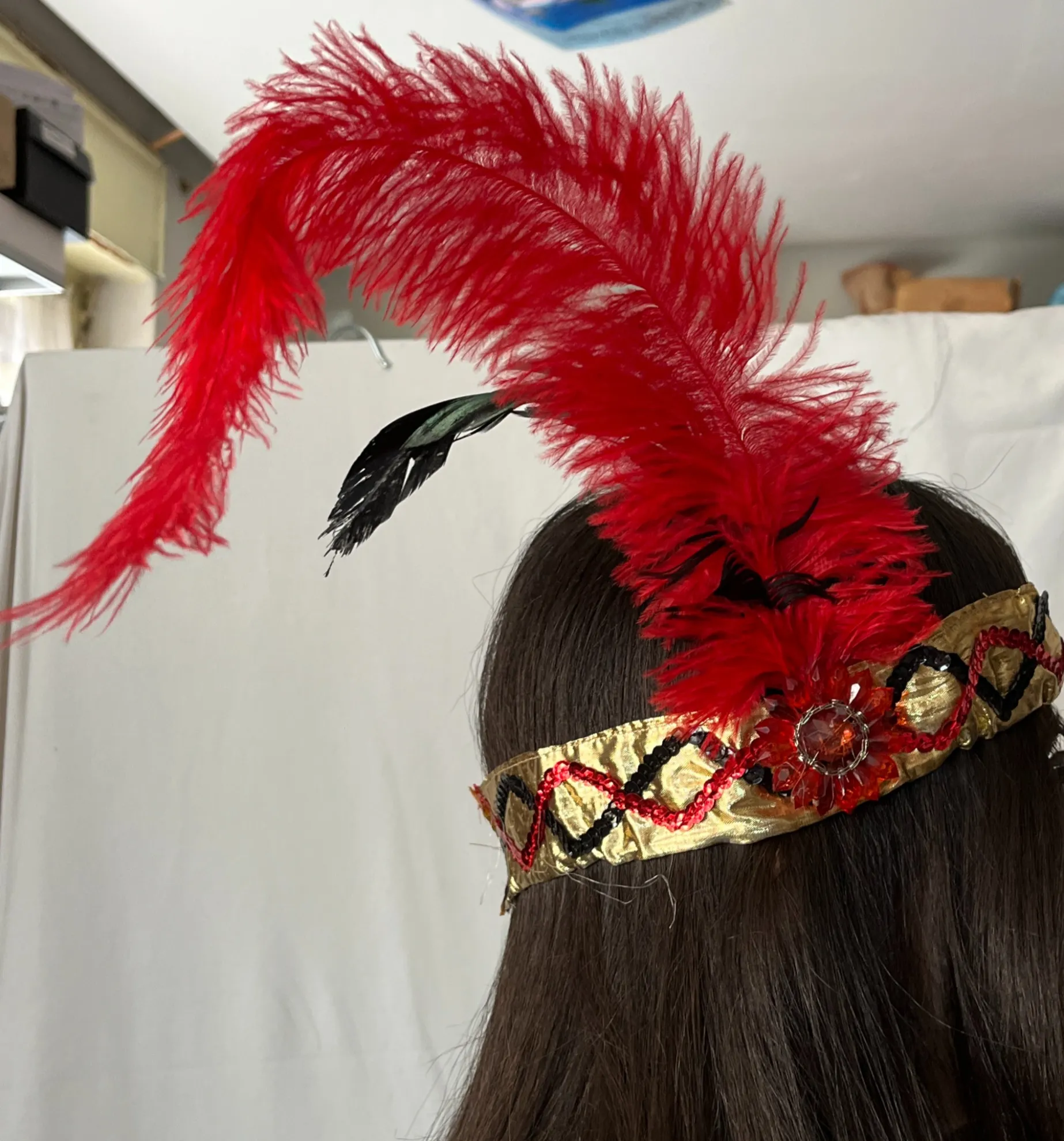 Disfraz accesorios 26