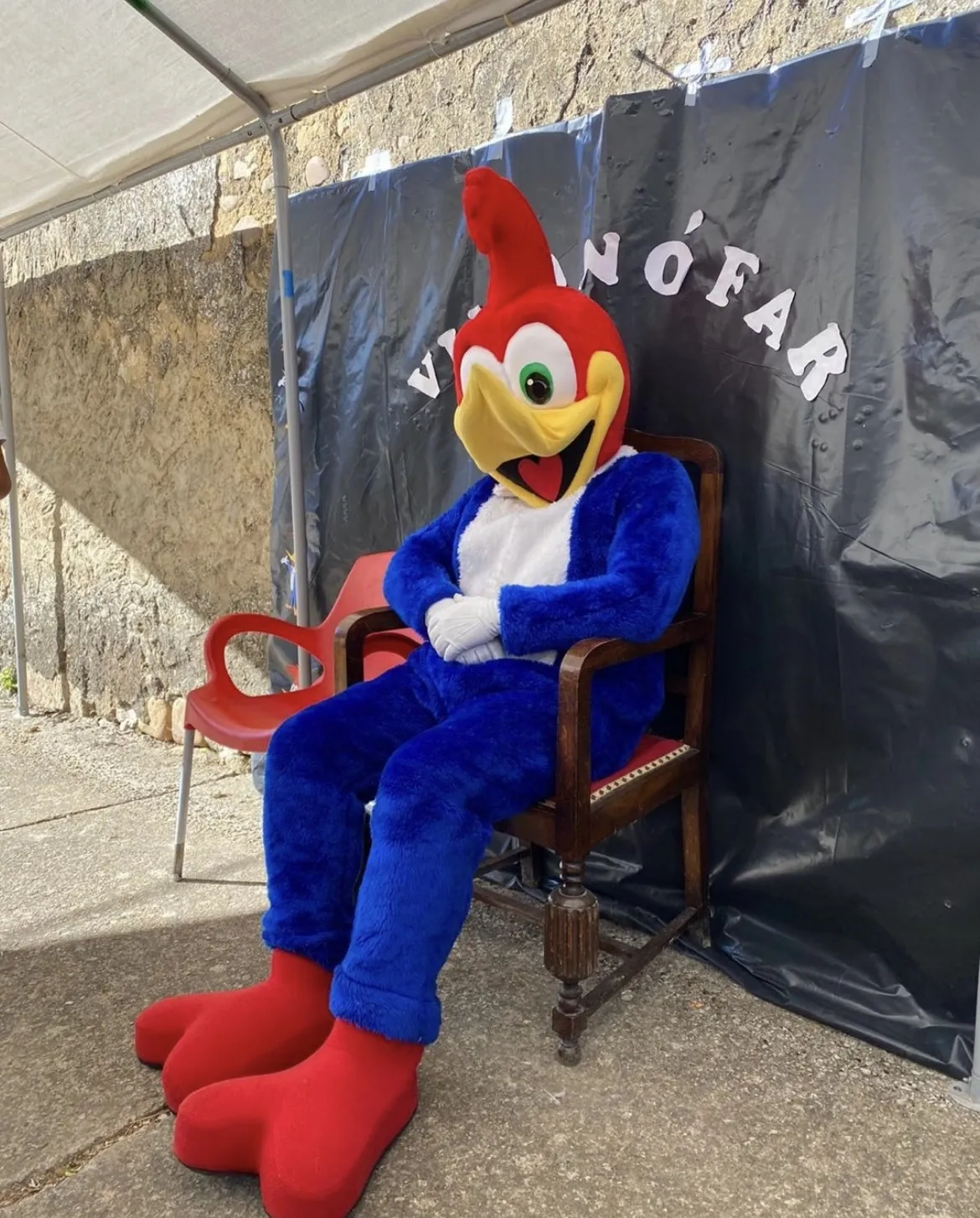 Disfraz cabezones 06
