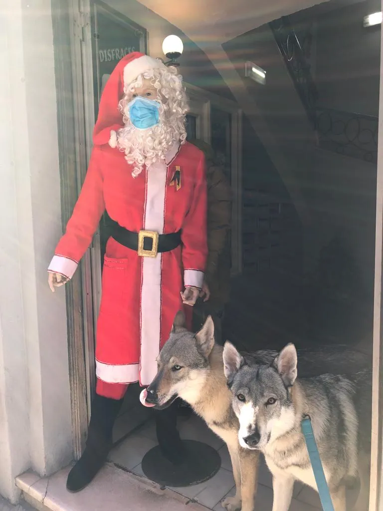 Disfraz navidad 07